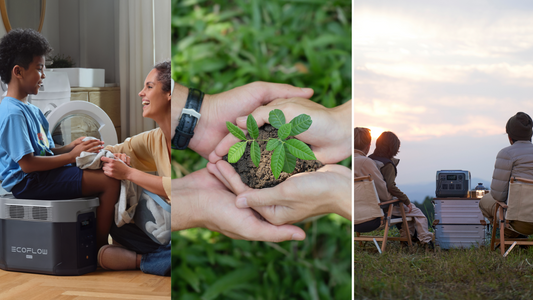 Empresas Lideram o Caminho para a Sustentabilidade no Dia da Mudança Climática