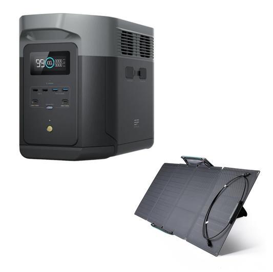 Delta 2 MAX + Painel 110W