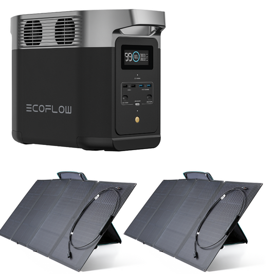 Delta 2 + Painel 320W (Dois painéis de 160W)