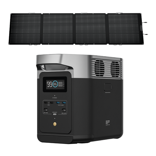 Delta 2 + Painel 110W Ecoflow
