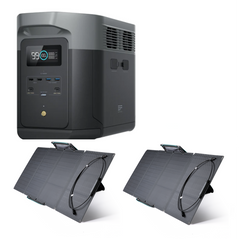 Delta 2 + Painel 320W (Dois painéis de 160W)
