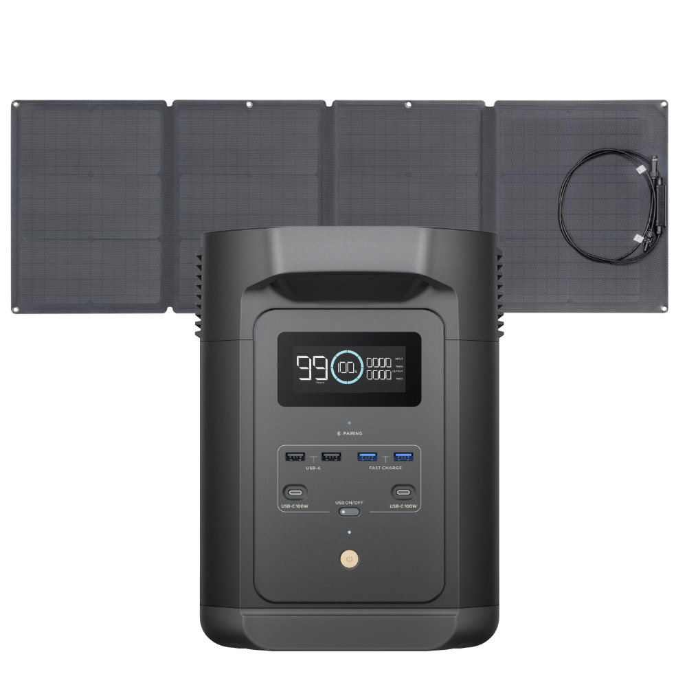 EcoFlow E980 + Painel 110W