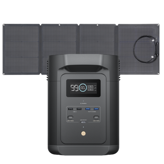 EcoFlow E980 + Painel 110W